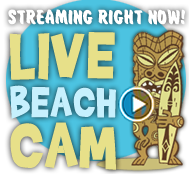 St George Island Live Cam St George Island Live Cam